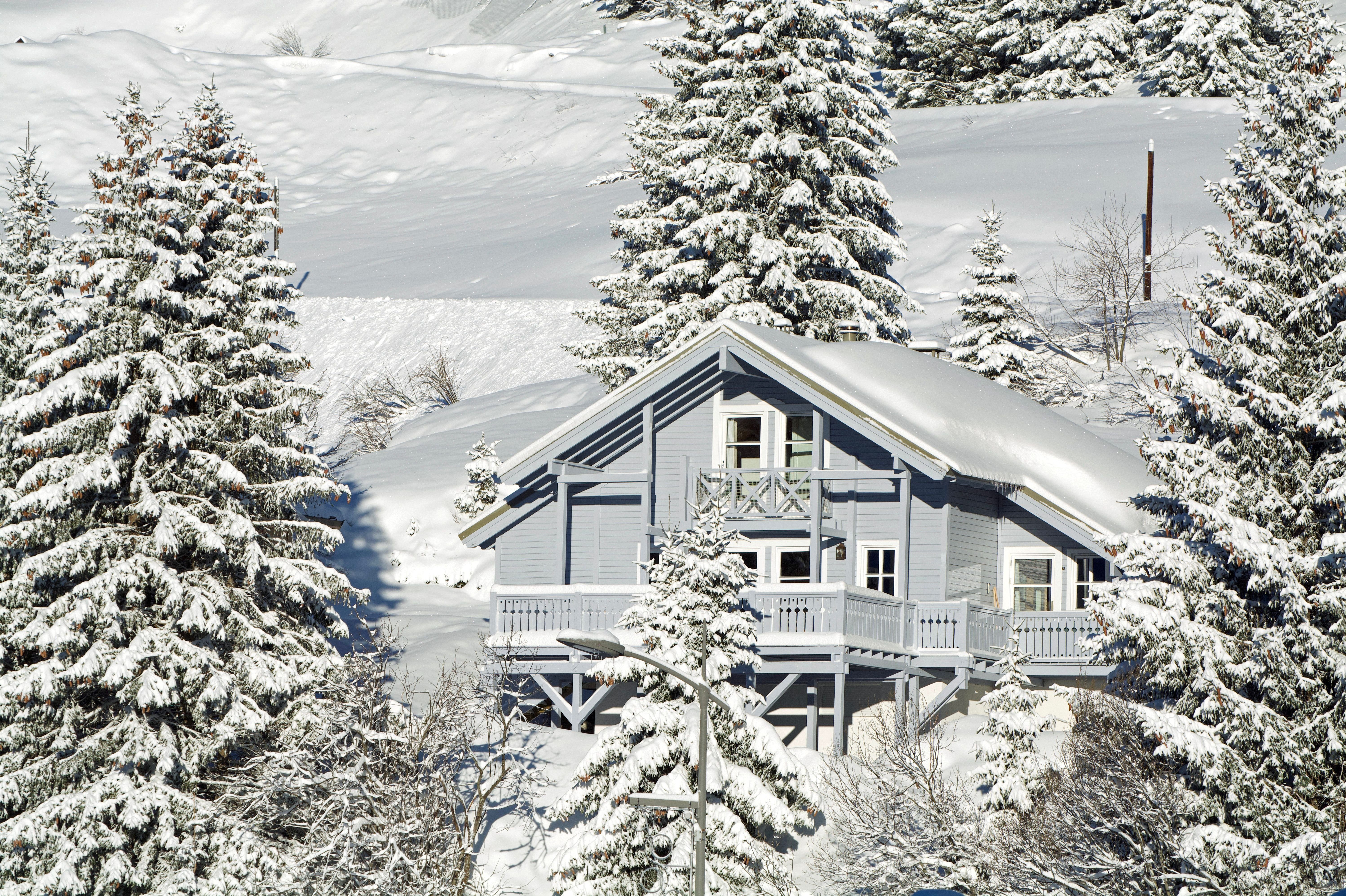 Awesome winter capture
